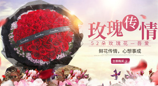 福建泉州南安市洪濑镇葵星村鲜花速递